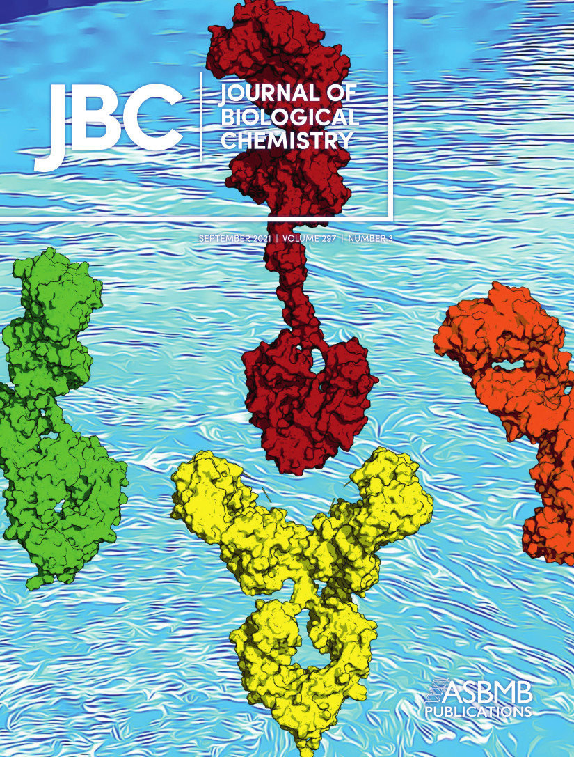Solution structures of human myeloma IgG3 antibody reveal extended Fab and Fc regions relative to the other IgG subclasses.